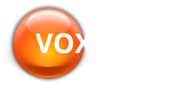 logo vox team